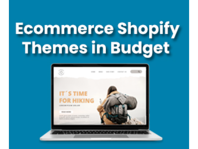 How To Choose Ecommerce Shopify Theme with Minimal Investment